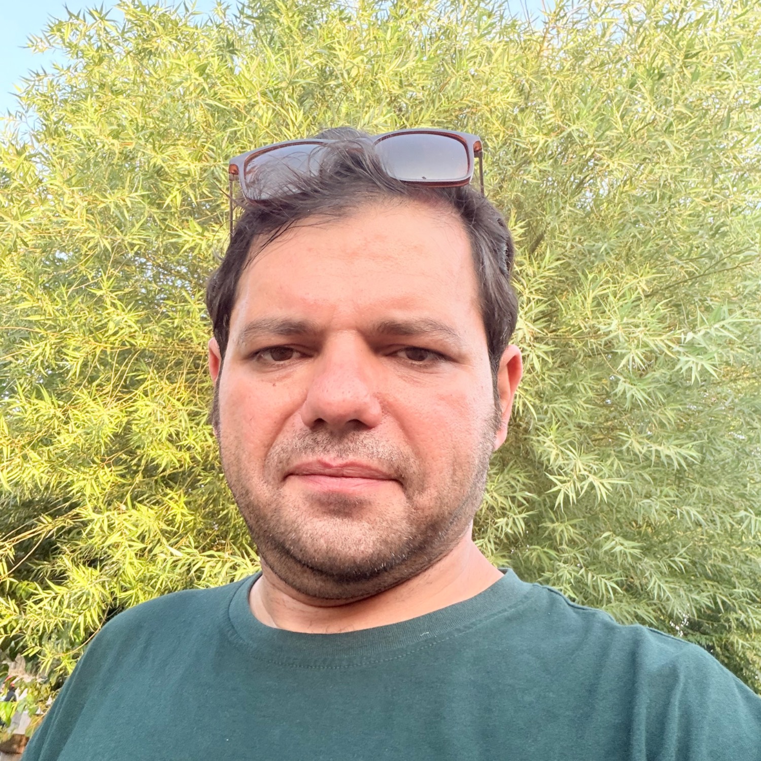 بهداد تاج الدین