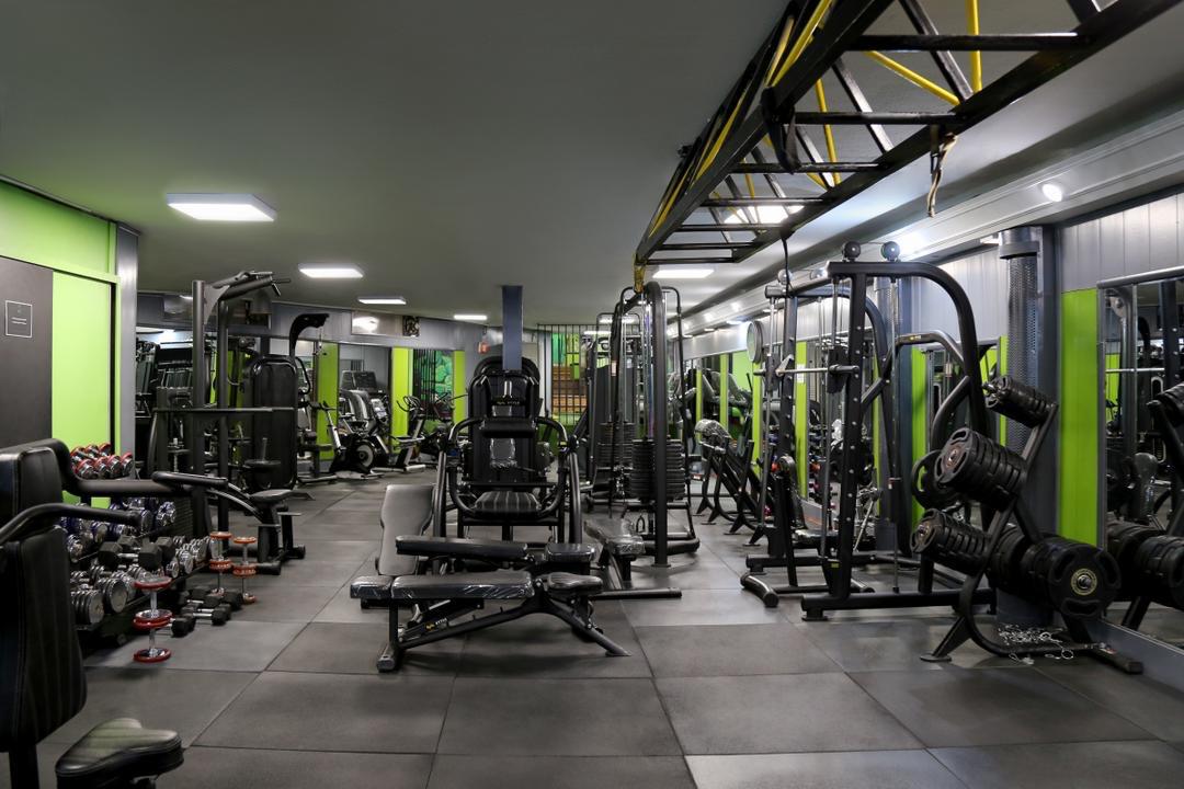 مجموعه ورزشی هالک