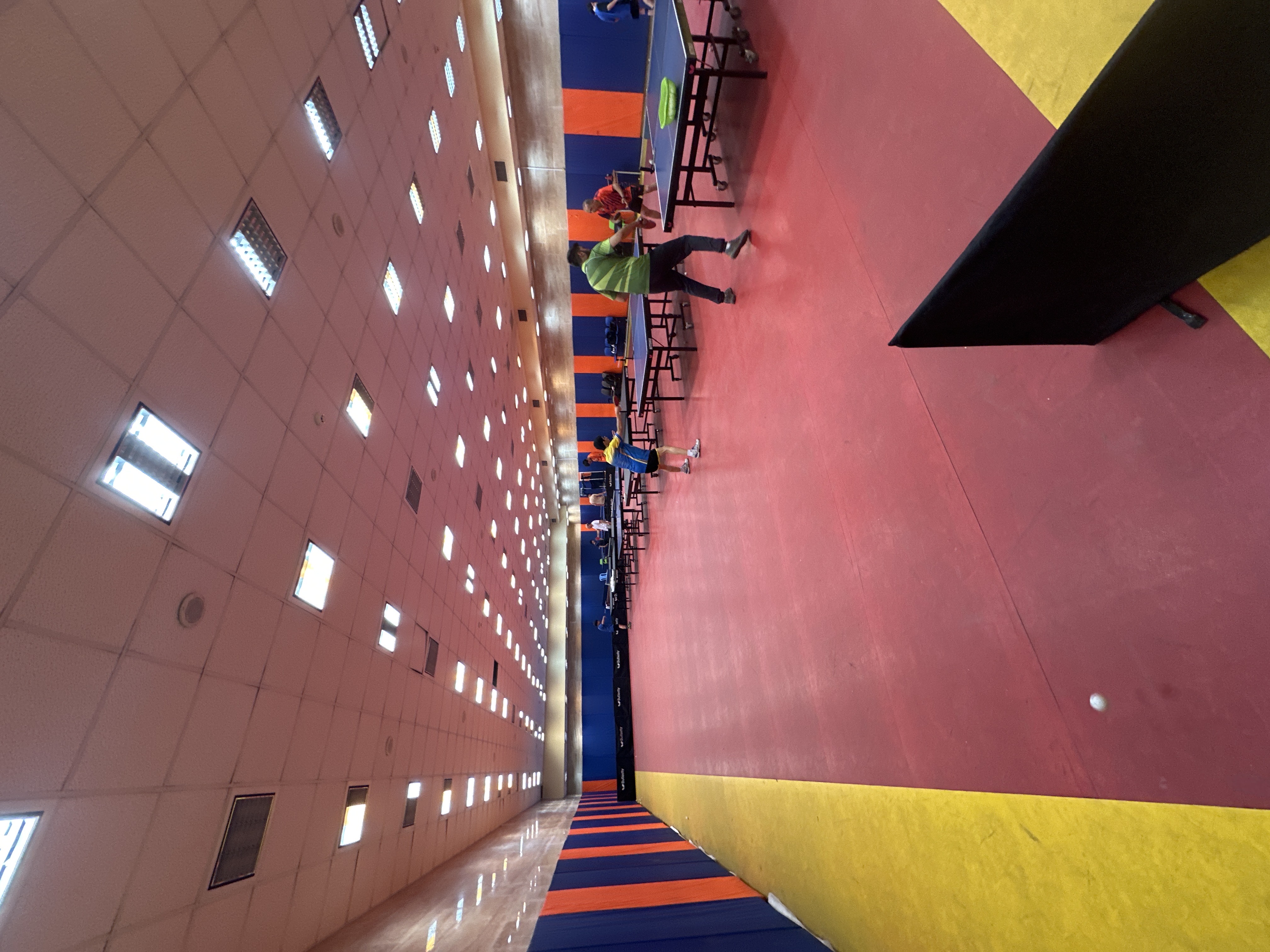 مجموعه رادین