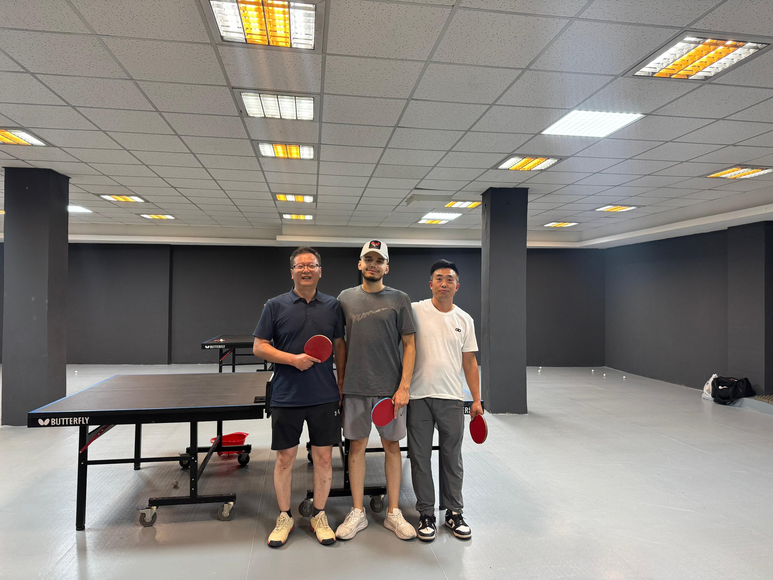 مجموعه رادین