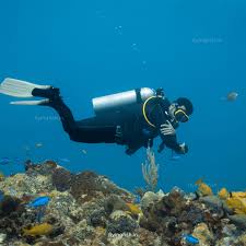 جمشیدی مربی غواصی